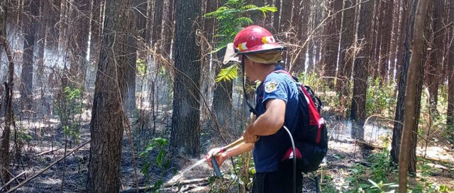 Bomberos y Policía trabajan para controlar incendio en lote de pinar